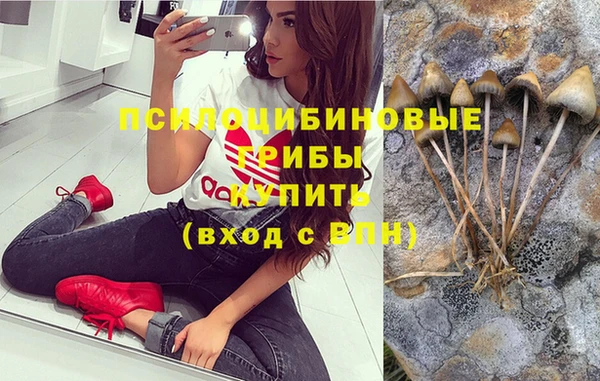 МДПВ Дмитровск
