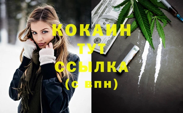 МДПВ Дмитровск