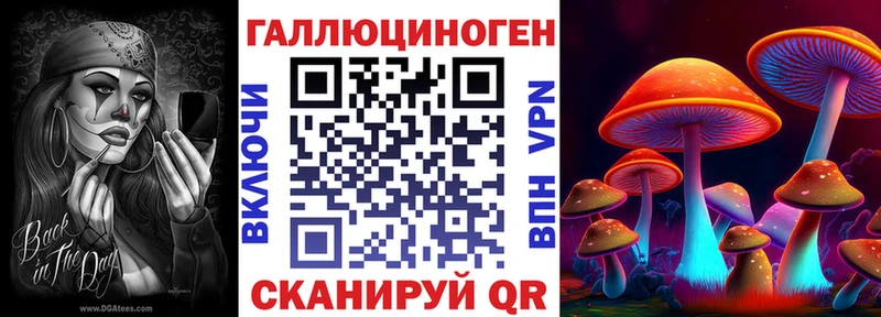 купить наркоту  Южа  Галлюциногенные грибы Psilocybine cubensis 