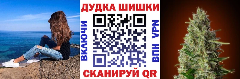 гидра ТОР  цены наркотик  Южа  Бошки Шишки планчик 